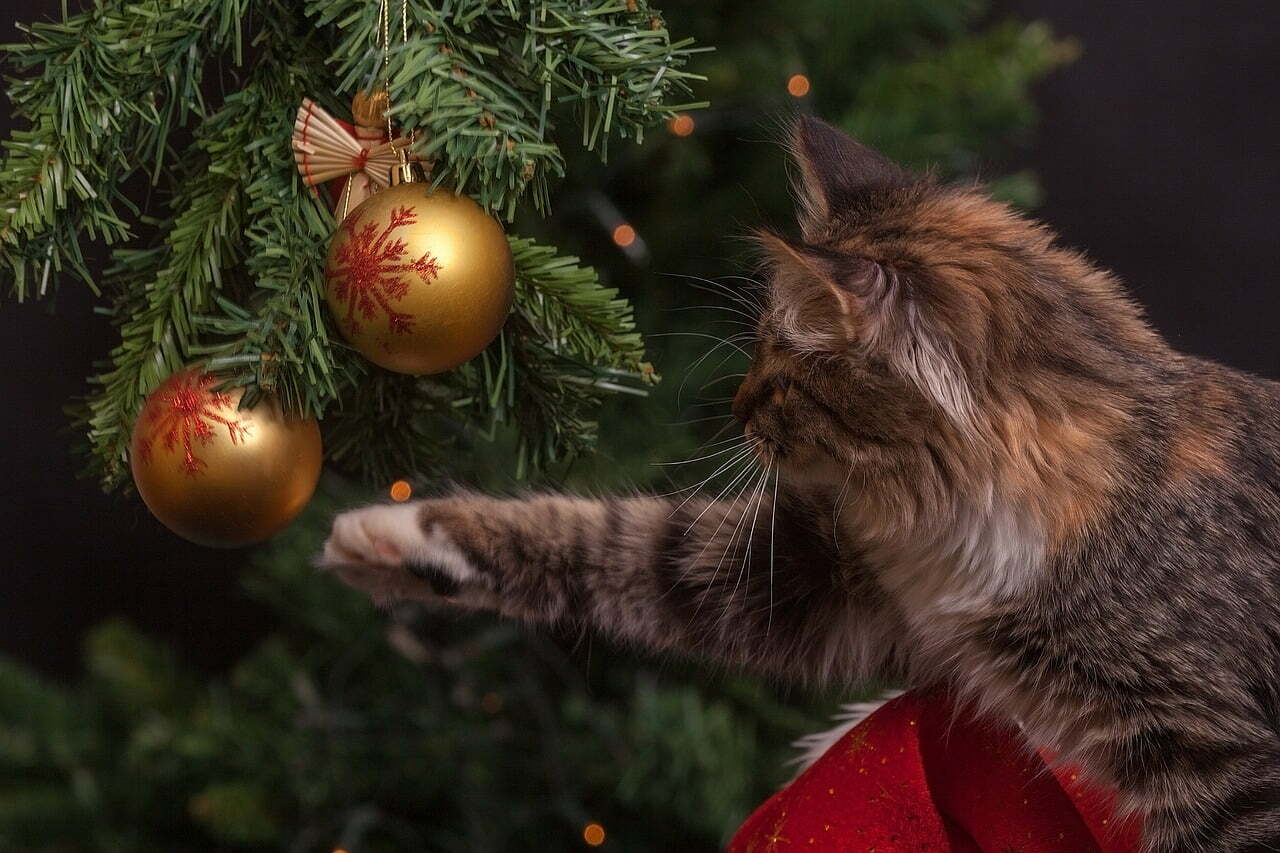 Decorazioni di Natale alternative – Il LibrAlbero