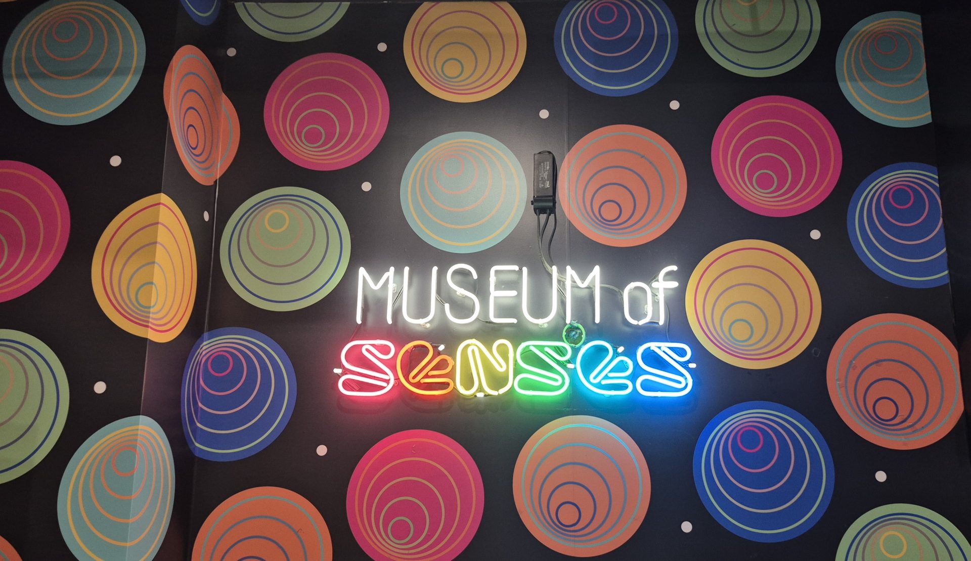 Museum of senses – Milano